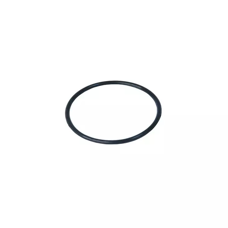 Suodattimen kannen O-rengas BC / SS - Suodatin varaosat - 11020102 - 1